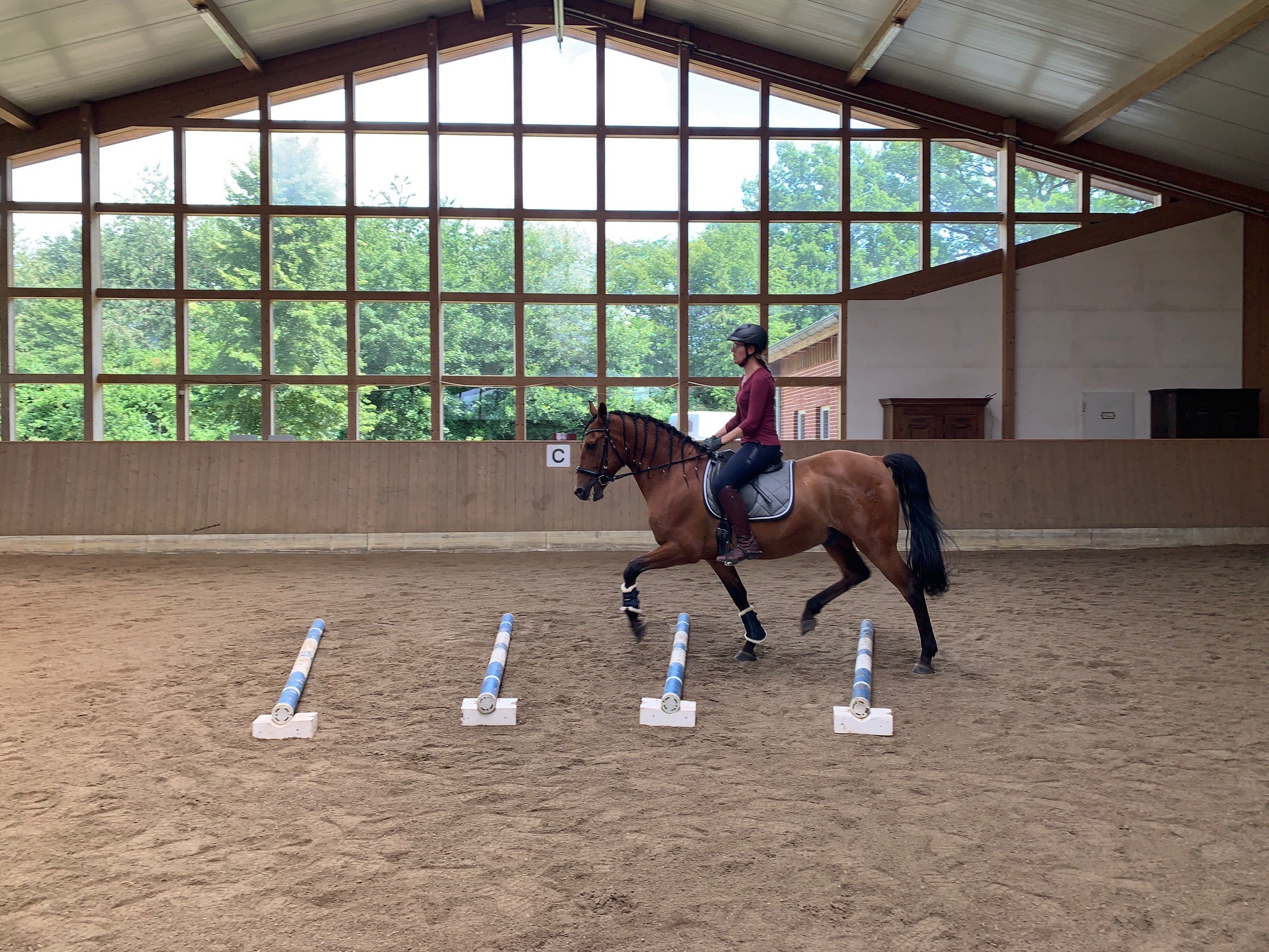Cavaletti-Training mit Mona von Heymann – Veranstaltung auf Hof Ohana in Bargteheide