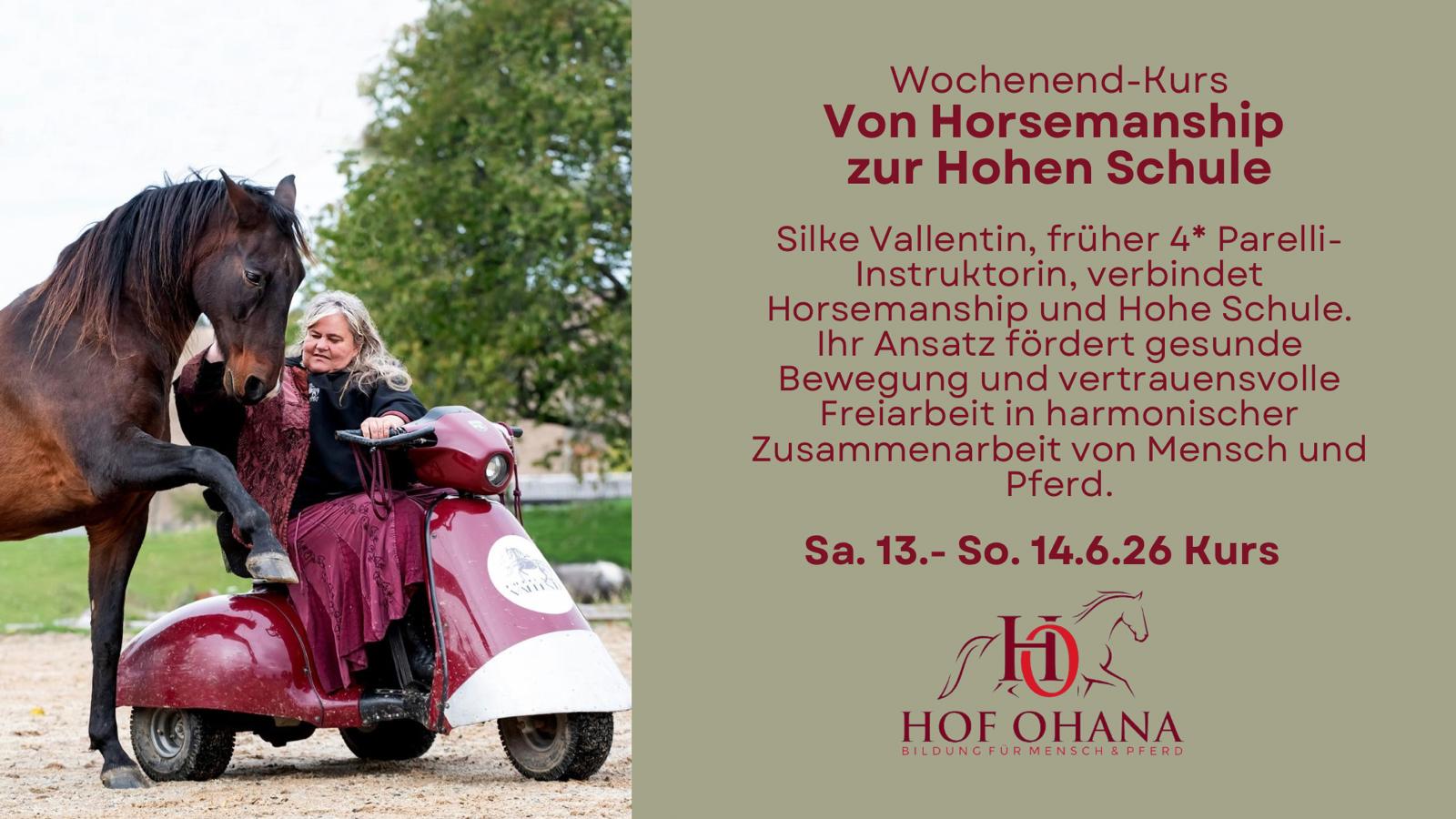 Mit Horsemanship zur Hohen Schule – Veranstaltung auf Hof Ohana in Bargteheide
