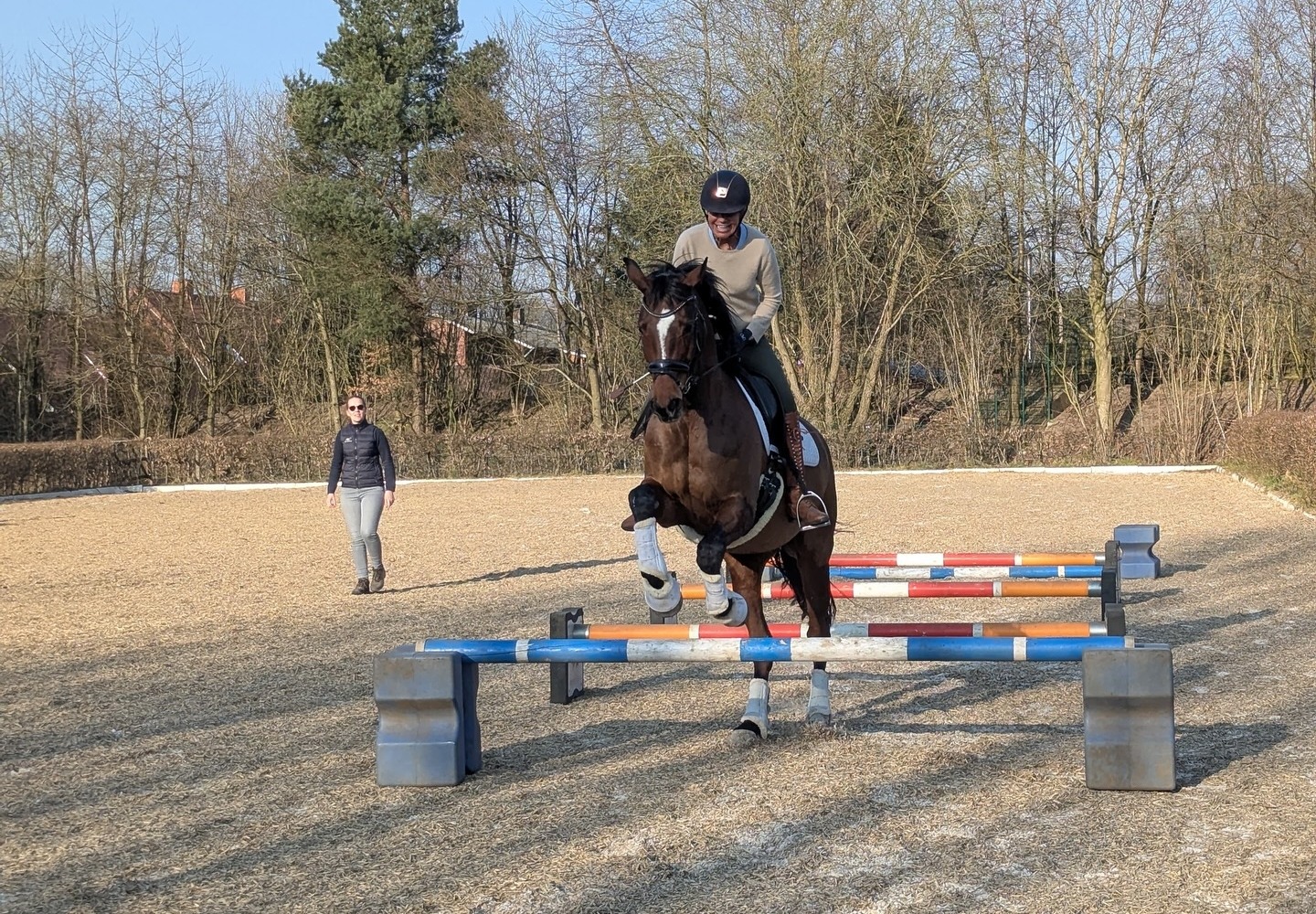 Cavaletti-Training – Veranstaltung auf Hof Ohana in Bargteheide