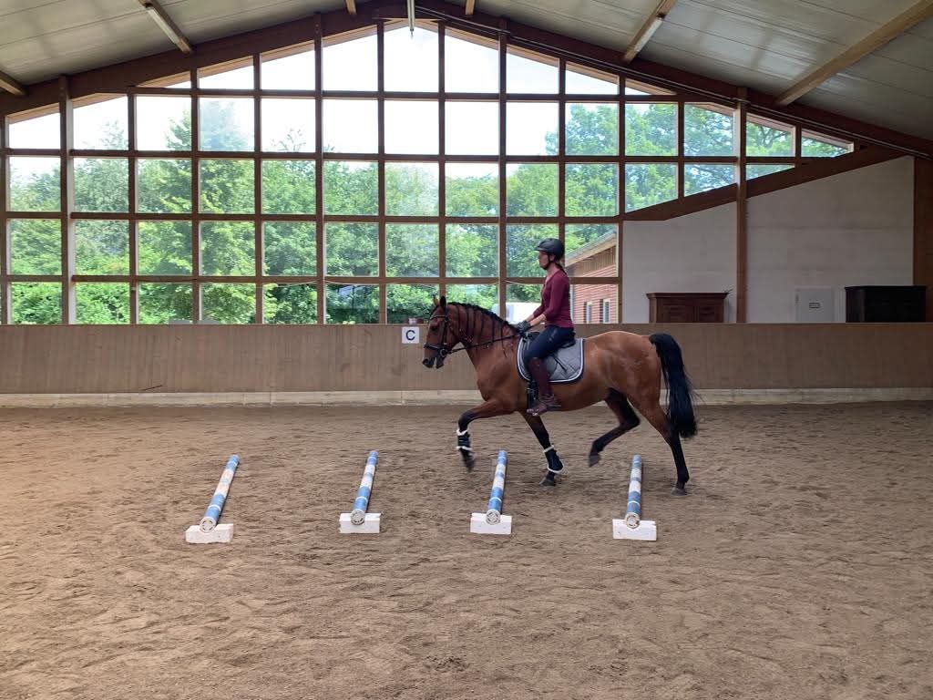 Cavaletti-Training