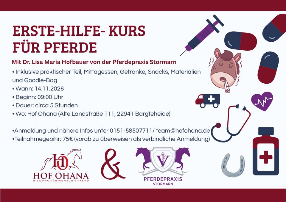 Erste Hilfe-Kurs für Pferdehalter