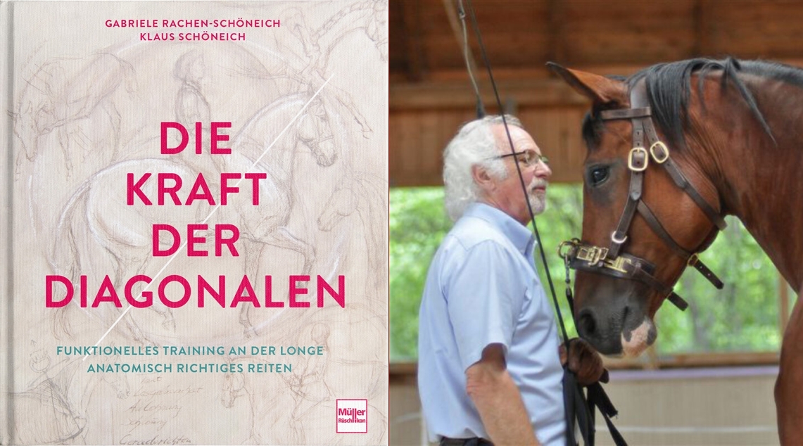 Anatomisch richtiges Reiten
