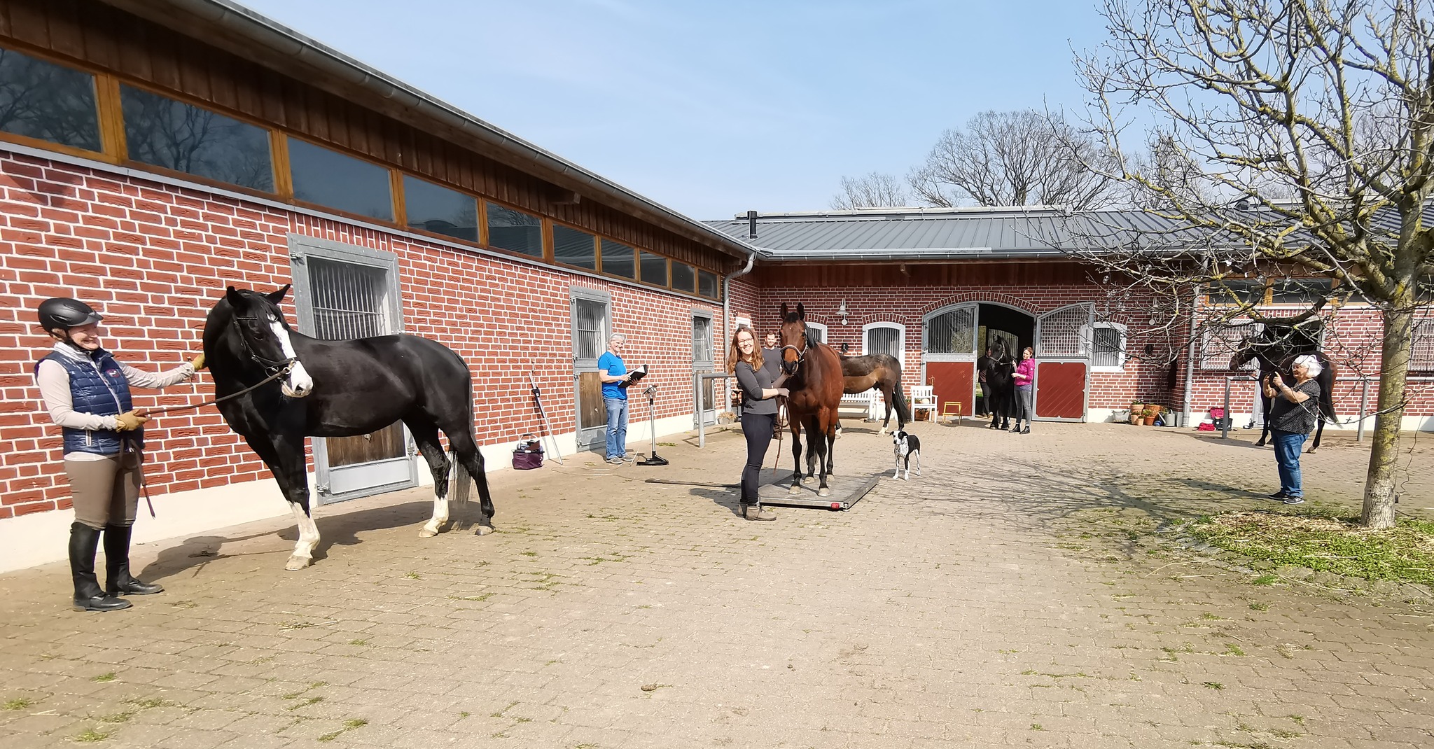 Pferdewaage für Einsteller und Gastpferde – Veranstaltung auf Hof Ohana in Bargteheide